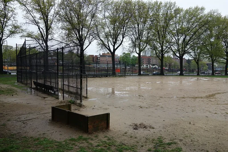 Rain Delay Riches: Why the Sharpest Money in America Shows Up When the Game Stops